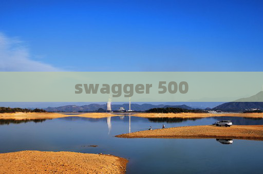 swagger 500